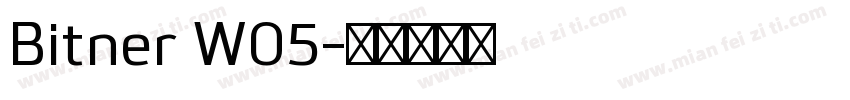 Bitner W05字体转换